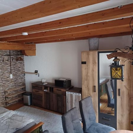 See- Und Altstadthaeusle - Alles Direkt Vor Der Haustuer - Bodenseeufer Natur Altstadt Bahnhof Bora-Sauna - Klein Und Super Zentral Zum See Oepnv Stadt Natur Etc - Appartement Historica Radolfzell am Bodensee Εξωτερικό φωτογραφία