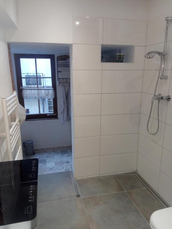 See- Und Altstadthaeusle - Alles Direkt Vor Der Haustuer - Bodenseeufer Natur Altstadt Bahnhof Bora-Sauna - Klein Und Super Zentral Zum See Oepnv Stadt Natur Etc - Appartement Historica Radolfzell am Bodensee Εξωτερικό φωτογραφία